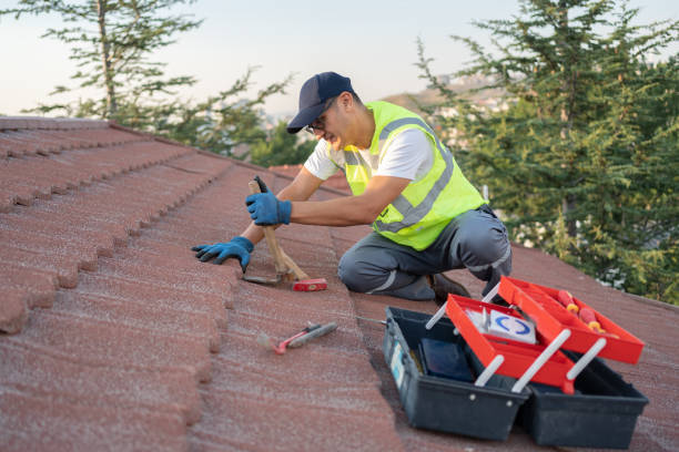 Quick and Trustworthy Emergency Roof Repair Services in Washoe Valley, NV