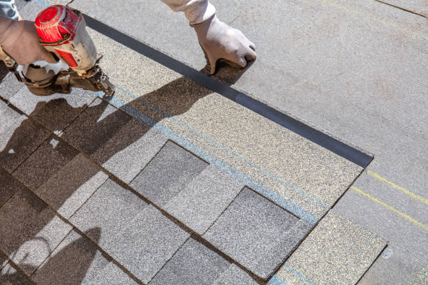 Best Roof Maintenance Services  in Washoe Valley, NV
